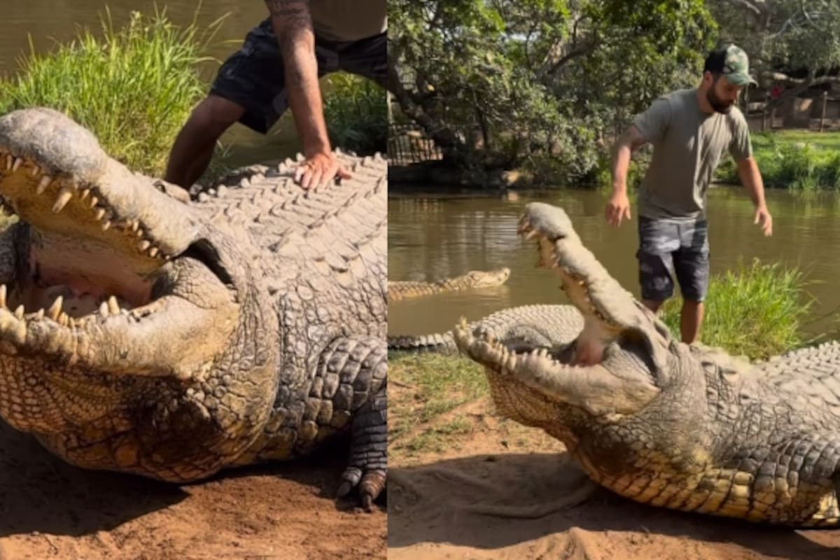 Hombre se encuentra con el cocodrilo más longevo del mundo, nacido en el año 1900