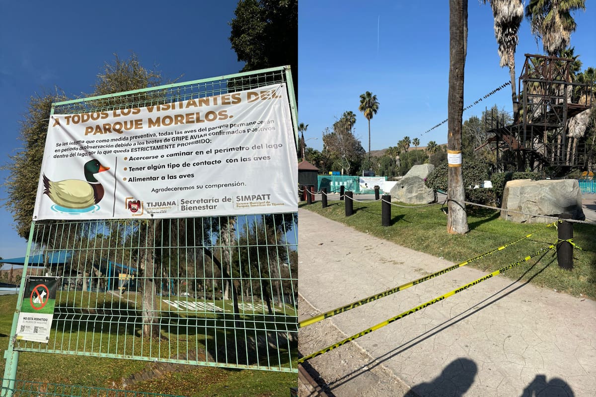 Levantan cuarentena en lago del Parque de la Amistad tras gripe aviar