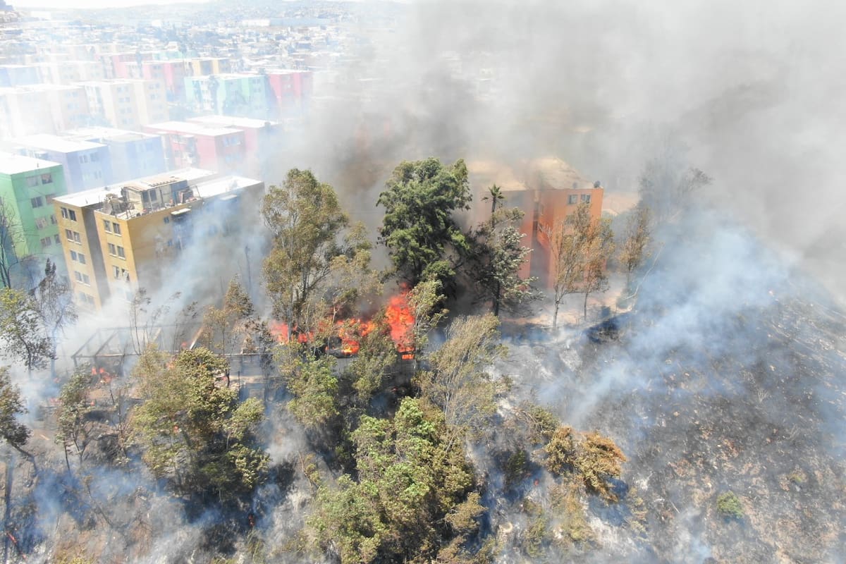 Deja 300 afectados incendio en Torres del Lago