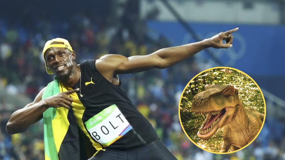 El T-Rex podía correr más rápido que Usain Bolt, según un estudio que explica que al desplazarse de puntillas aumentaba su velocidad y eficiencia, cambiando lo que se creía sobre cómo se movían los grandes depredadores prehistóricos