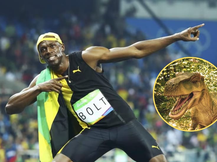 El T-Rex podía correr más rápido que Usain Bolt, según un estudio que explica que al desplazarse de puntillas aumentaba su velocidad y eficiencia, cambiando lo que se creía sobre cómo se movían los grandes depredadores prehistóricos