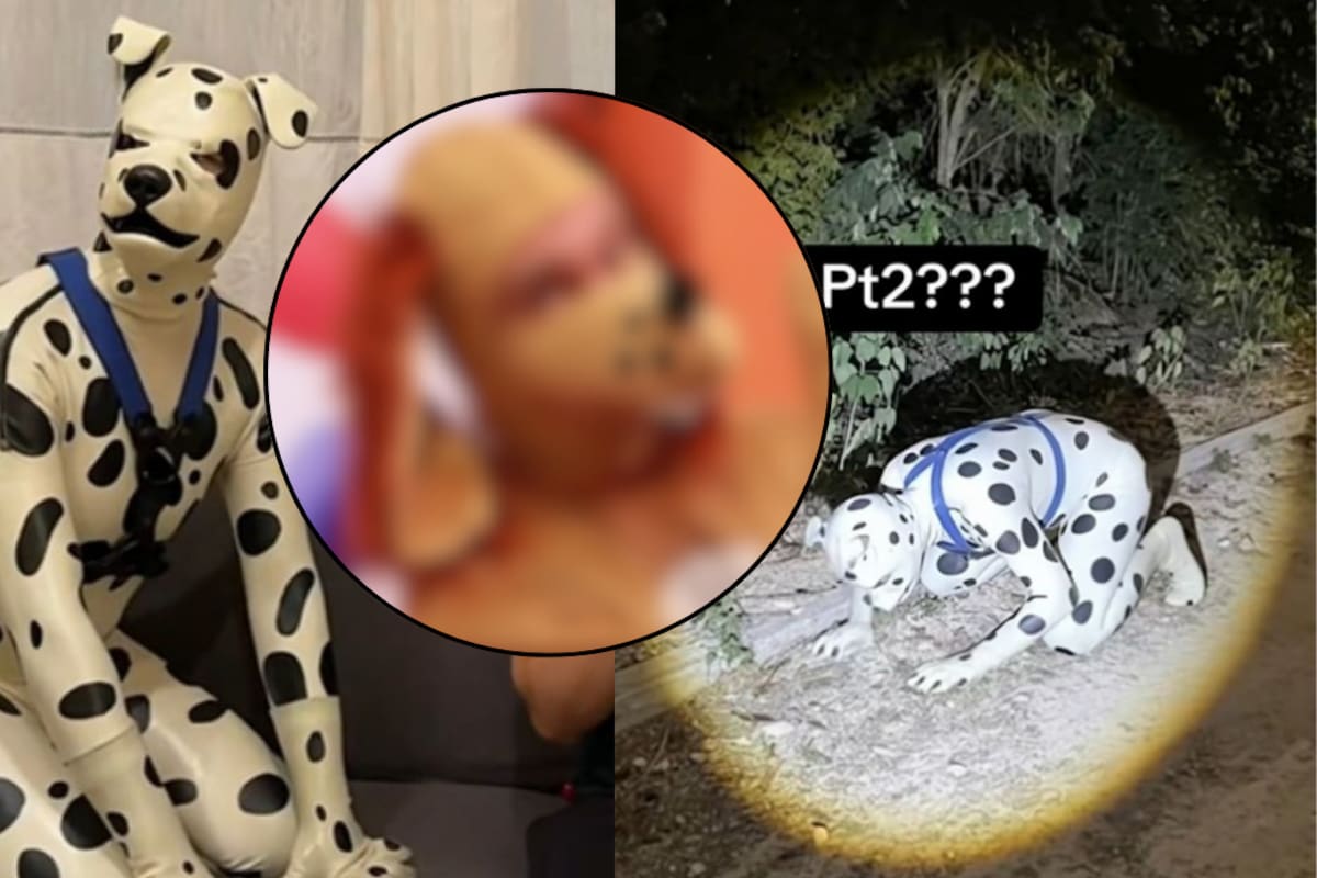 ¿Quién fue el primer Therian en la televisión de México? El Perro Guarumo lo aclara