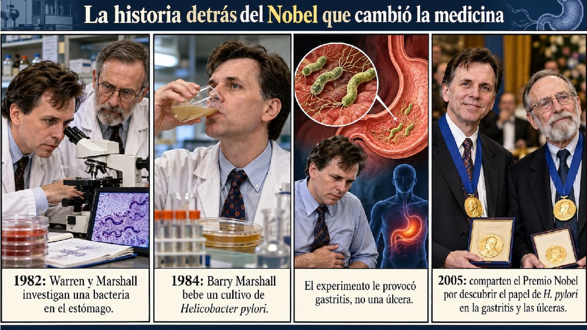 Tras años de investigaciones y cuestionamientos científicos, Marshall y Warren recibieron en 2005 el máximo reconocimiento internacional en medicina por un descubrimiento que transformó los tratamientos de las úlceras.