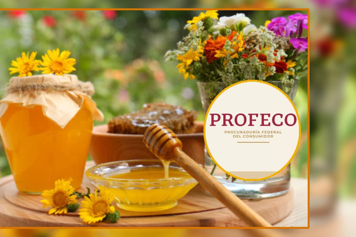 Estas son las mejores marcas de miel 100% de abeja, según la Profeco