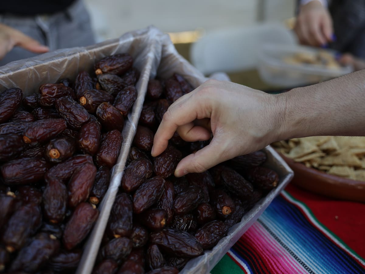 Festival de la Palma Datilera l Foto: Javier Galllegos