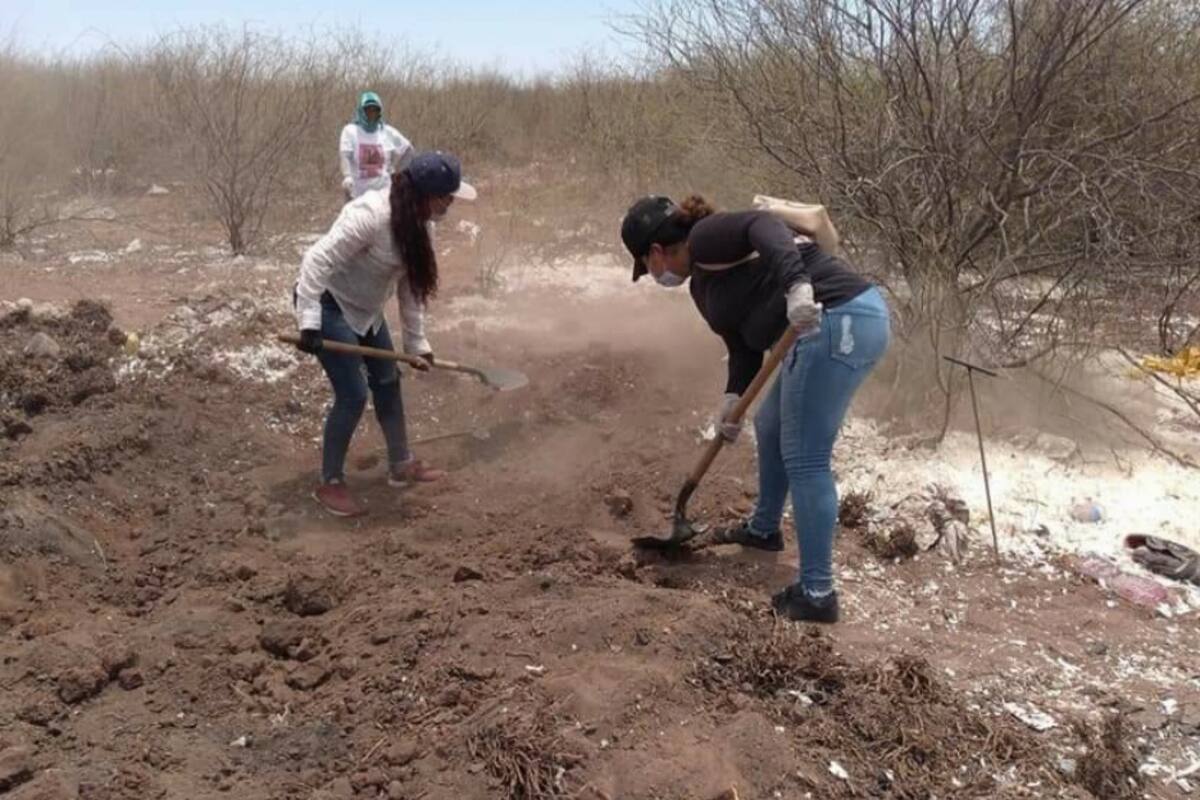 Ciudad Obregón: Ana Isabel libra incansable lucha por hallar a su esposo