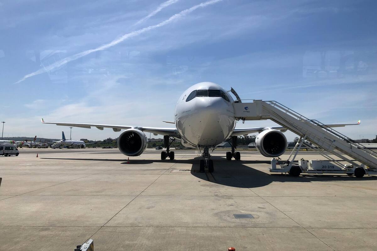 Aeromoso enloqueció por completo al aterrizar vuelo en Nueva York