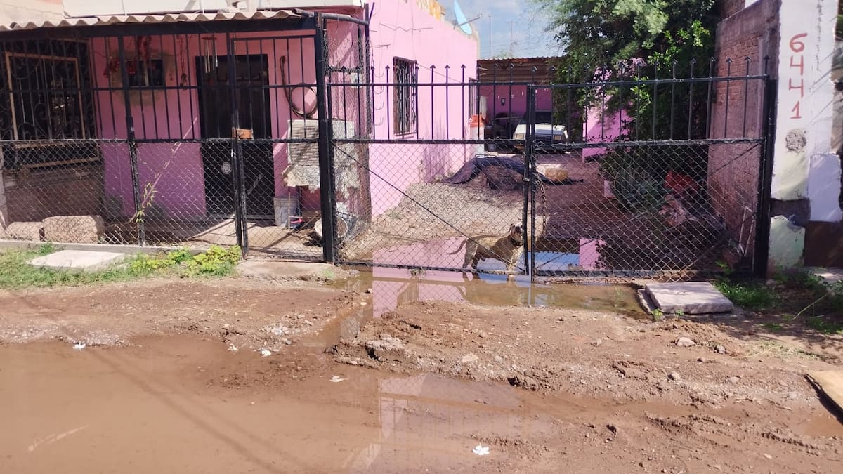 Imagen por Mayra Echeverría.