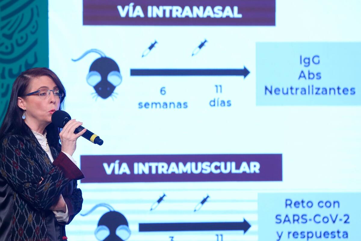 La directora general del Consejo Nacional de Ciencia y Tecnología (Conacyt), María Elena Álvarez-Buylla, habla hoy durante la rueda de prensa matutina del presidente mexicano Andrés Manuel López Obrador, en Palacio Nacional, en Ciudad de México (México). EFE/Sáshenka Gutiérrez