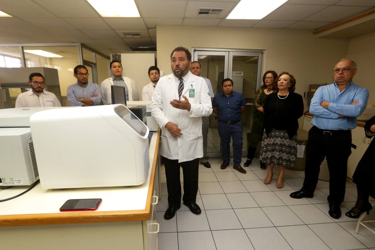 Buscan crear una prueba rápida para rickettsia