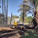 Incendio consume palmas y postes de luz eléctrica en SLRC