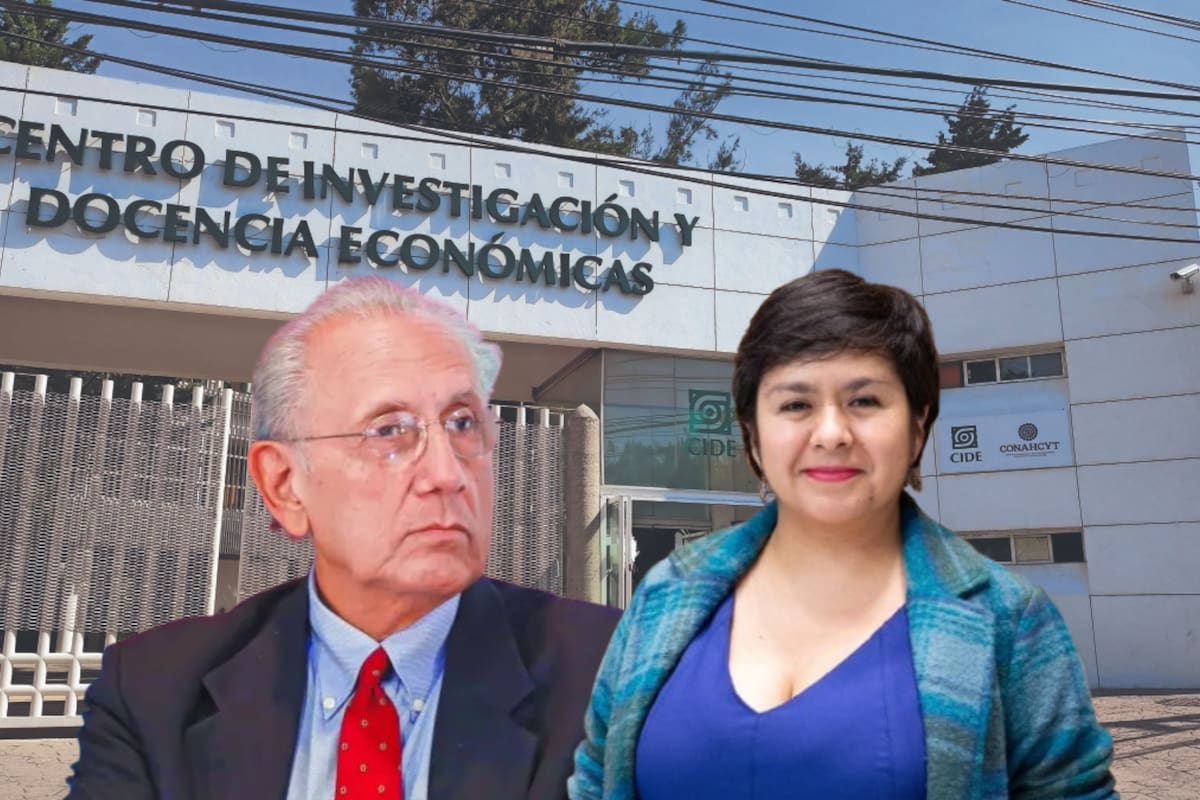 México sufrió un cambio en el CIDE tras la destitución de José Antonio Romero Tellaeche por presunto abuso laboral y Lucero Ibarra asumirá como interina