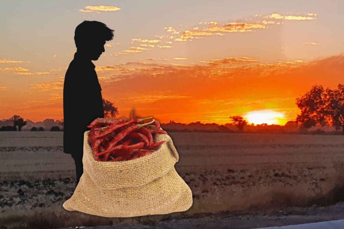 Detenido por robo de costales de chile