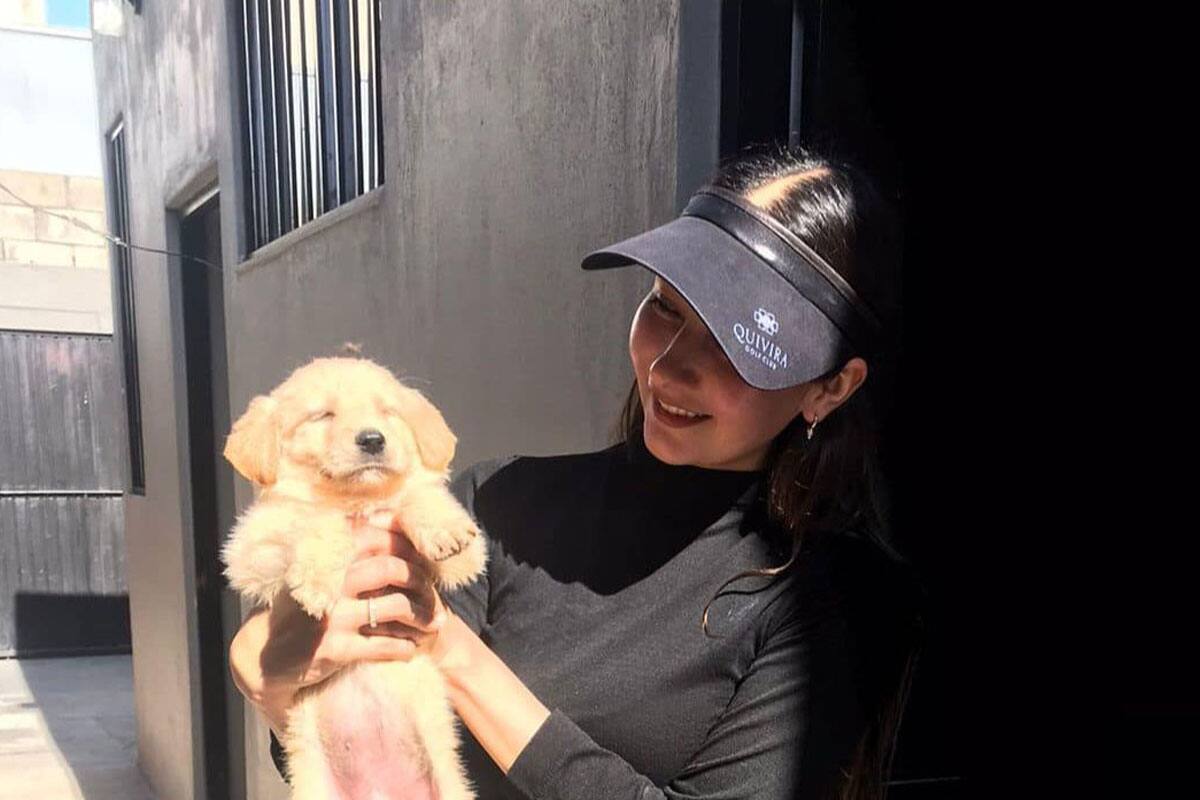 Adoptan a 117 mascotas en el CACyF de Ensenada