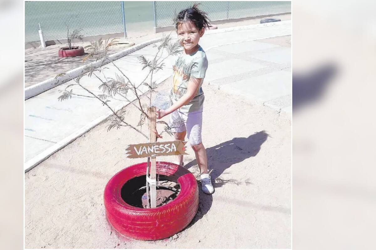 Niños en Hermosillo adoptan un árbol