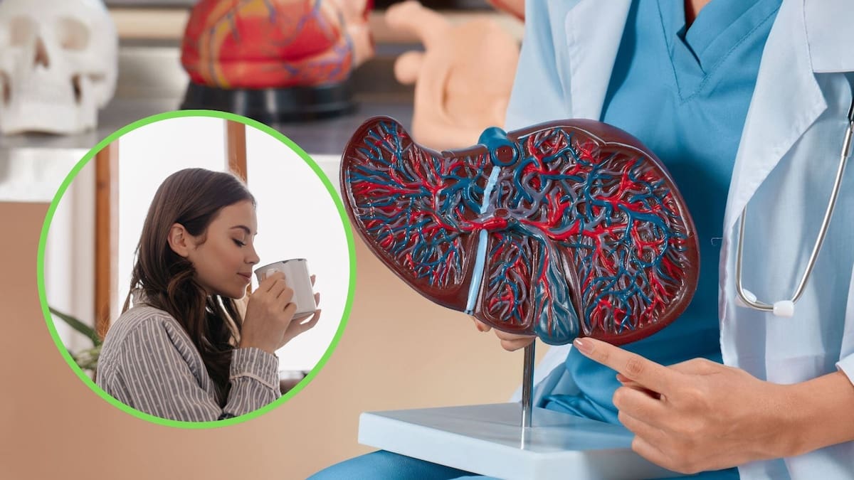 Tomar entre dos y cuatro tazas de café al día podría reducir el riesgo de cirrosis y cáncer de hígado, según especialistas en salud hepática
