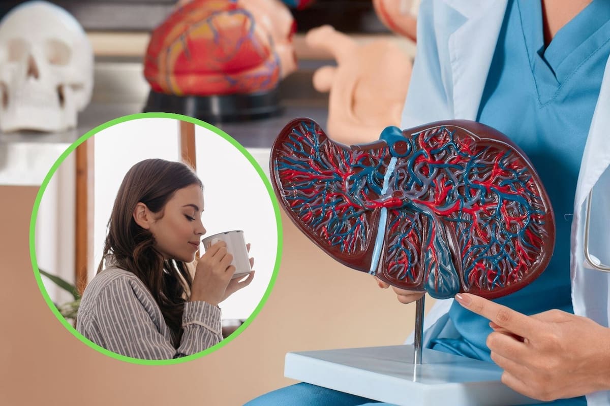 Tomar entre dos y cuatro tazas de café al día podría reducir el riesgo de cirrosis y cáncer de hígado, según especialistas en salud hepática
