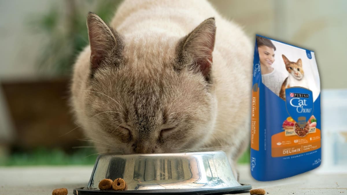 La Tienda Oficial de Purina aplica un 40% de descuento al bulto de croquetas Cat Chow de 15 kilos en Mercado Libre, bajando su precio a 644 pesos