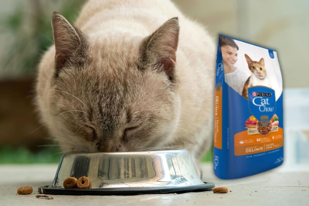 La Tienda Oficial de Purina aplica un 40% de descuento al bulto de croquetas Cat Chow de 15 kilos en Mercado Libre, bajando su precio a 644 pesos