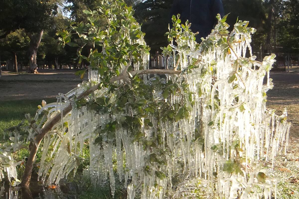 Clima hoy: Posibles heladas en partes altas de Baja California y Sonora