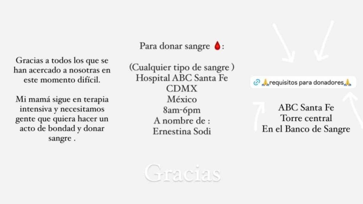 Camila Sodi utilizó sus redes sociales para solicitar sangre para madre / Instagram: @camilasodi_