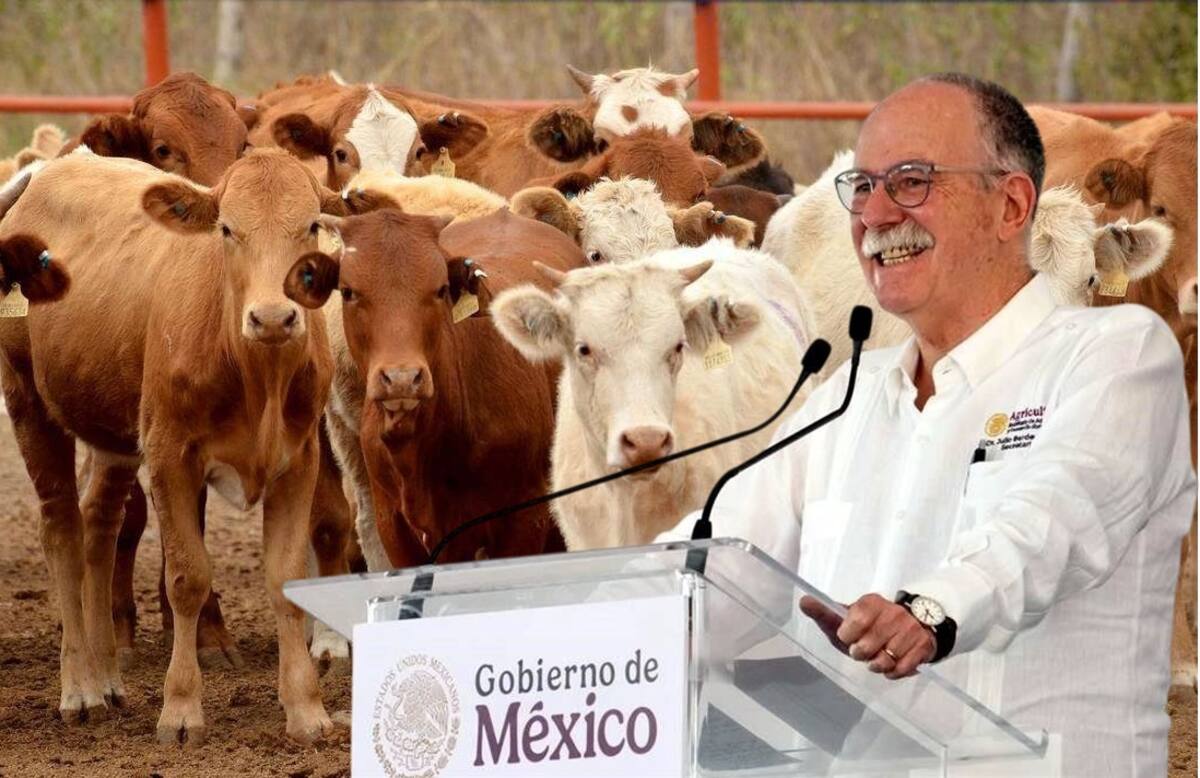 Julio Berdegué Sacristán, titular de la Sader. FOTO: ESPECIAL