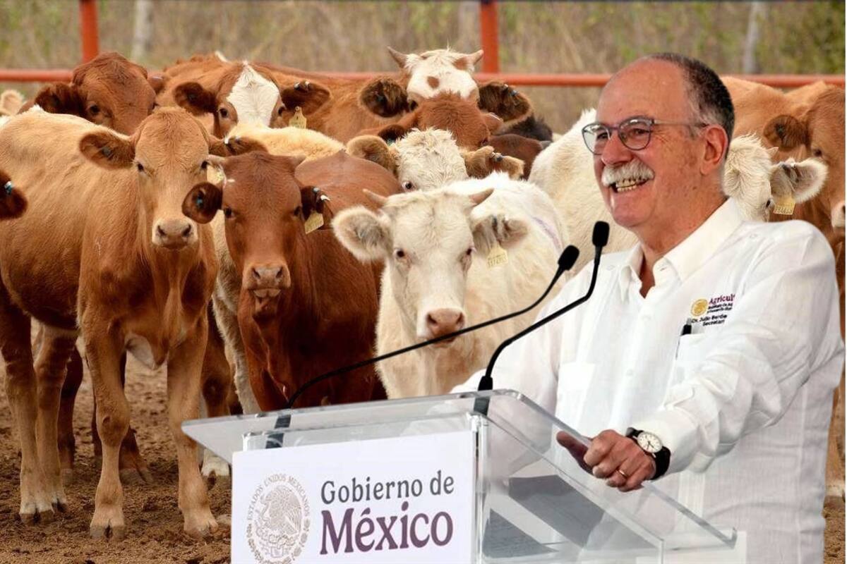 Son mínimas las observaciones para ganaderos sonorenses por parte de la USDA