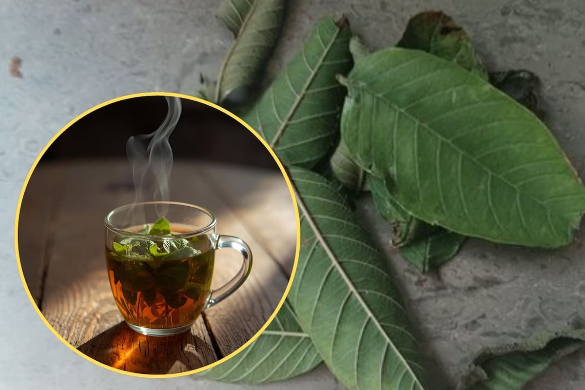 Té de hojas de guayaba: el remedio natural que ayuda a reducir los cólicos menstruales