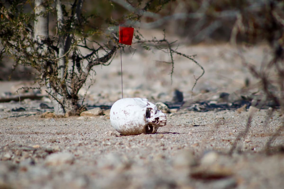 Localizan restos óseos en las faldas del cerro de El Centinels; fueron encontrados un cráneo,fémur,costillas entre otras piezas.(Foto: Andrés O. Farrera)