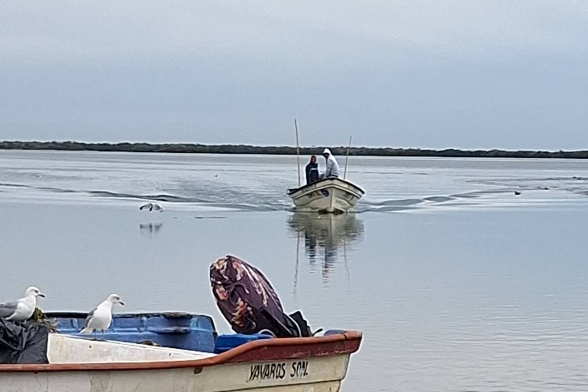 Pescadores enfrentan difícil panorama ante vedas