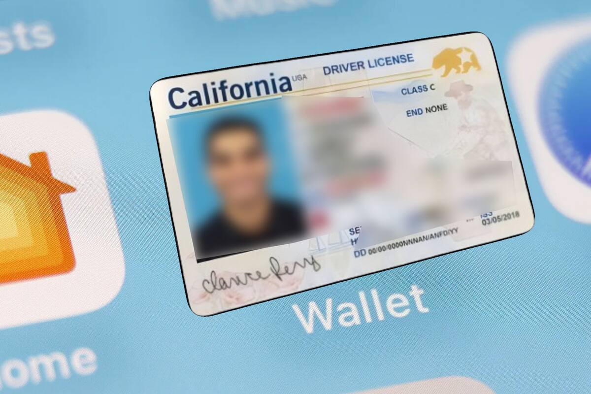 ¡Para no perderla! Guarda tu licencia de conducir digital en cartera virtual de Google y Apple