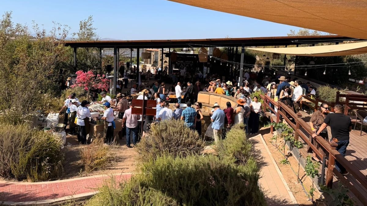 Tras meses de caída, repunta la actividad turística en el Valle de Guadalupe
