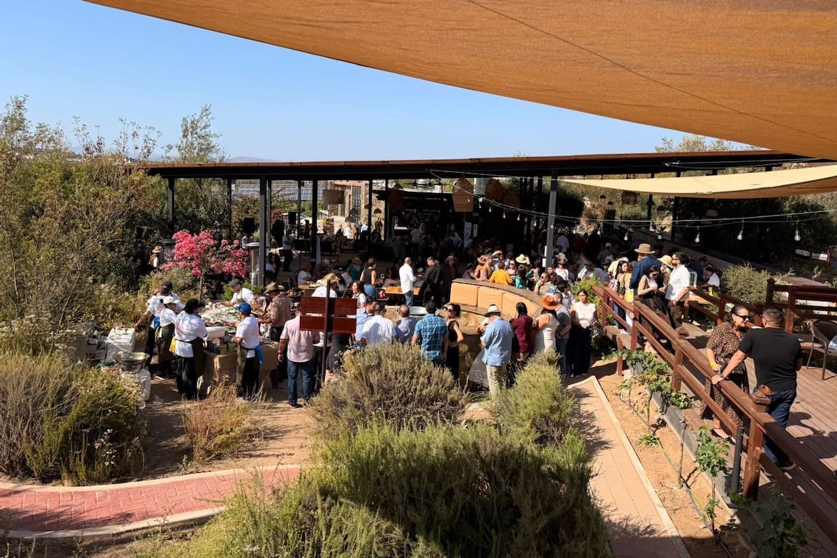 Tras meses de caída, repunta la actividad turística en el Valle de Guadalupe