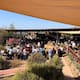Tras meses de caída, repunta la actividad turística en el Valle de Guadalupe