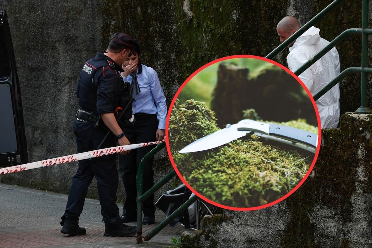 Padre asesina a su hija de 13 años para luego quitarse la vida; madre logra escapar del ataque