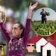 Desde becas para millones de estudiantes hasta apoyos para el campo y la vivienda Claudia Sheinbaum asegura que los programas sociales siguen llegando a quienes más los necesitan