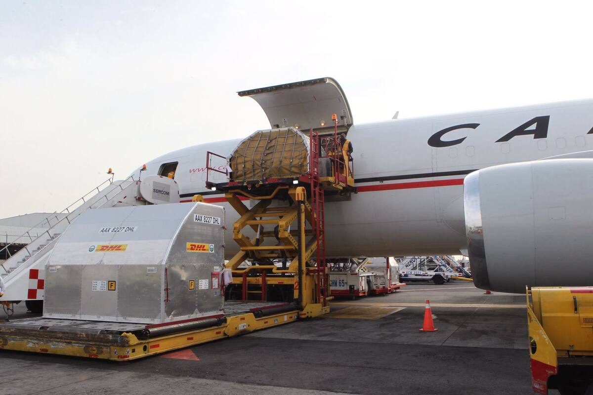 Llegan a México 290 mil 160 dosis de Pfizer contra el Covid-19