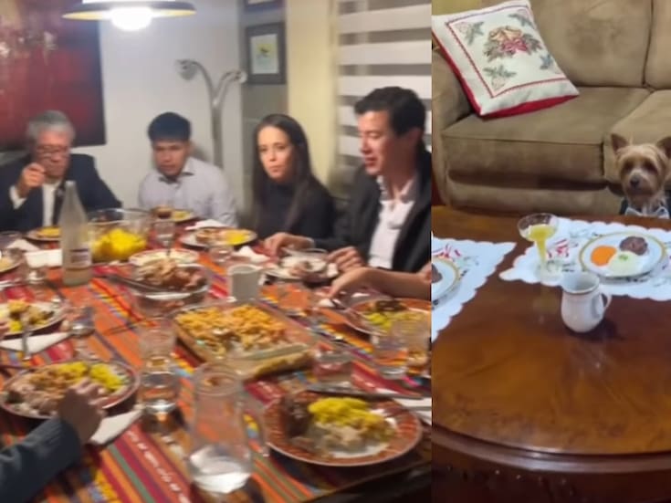 Familia enternece a redes al mostrar que sus mascotas tuvieron su propia mesa y cena en Navidad