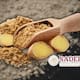 La especia asiática milenaria que fortalece tu metabolismo y articulaciones