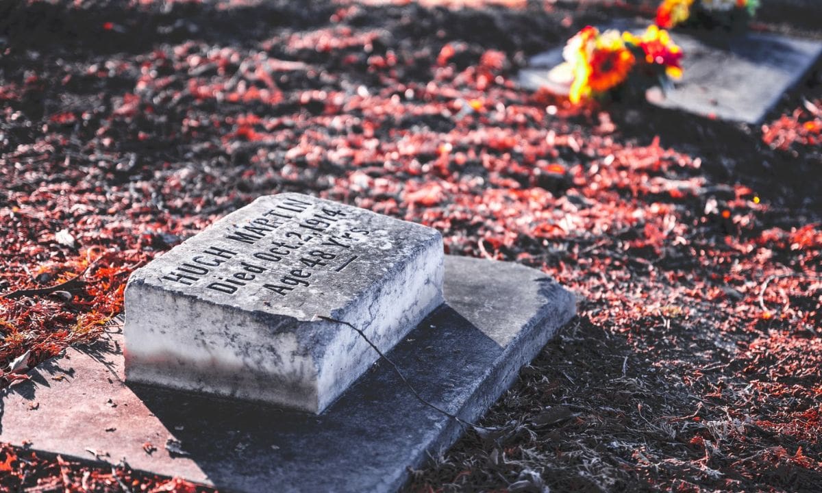 La persona que puede solicitar el apoyo es, en principio, la persona adulta auxiliar registrada previamente en el programa. Este registro permite identificar a quien estaba autorizado para apoyar a la persona beneficiaria con sus trámites. Foto: Pexels.
