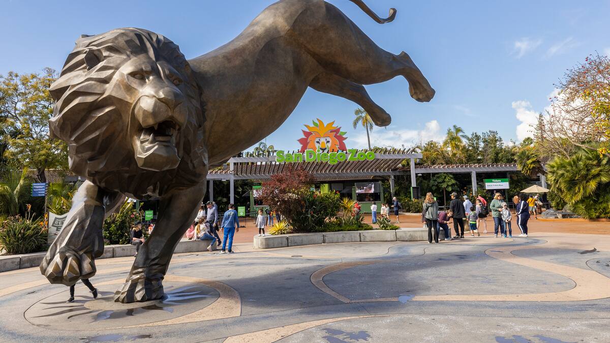 Iniciará cobro de estacionamiento en Zoológico de San Diego