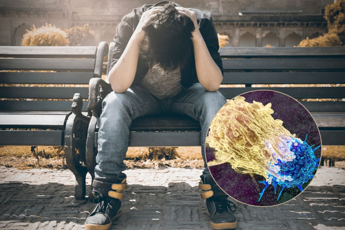 Estudio descarta que estrés, tristeza o soledad aumenten el riesgo de cáncer y advierte que los principales factores siguen siendo hábitos prevenibles como tabaquismo, dieta y sedentarismo