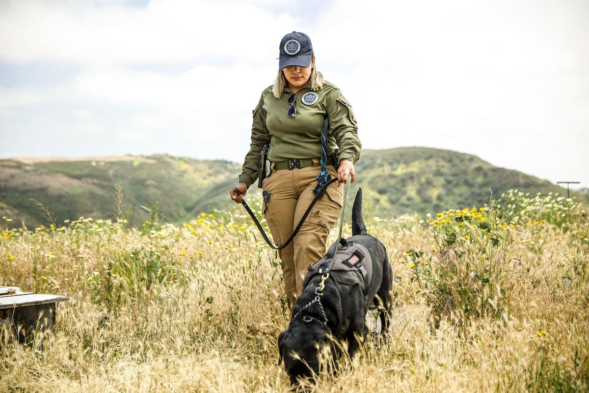 Reporta FGE hallazgos en Cañón de las Carretas