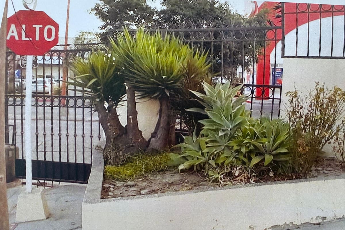 Buscan proteger jardín vecinal que quieren retirar en Santa Fe
