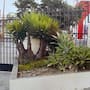 Buscan proteger jardín vecinal que quieren retirar en Santa Fe
