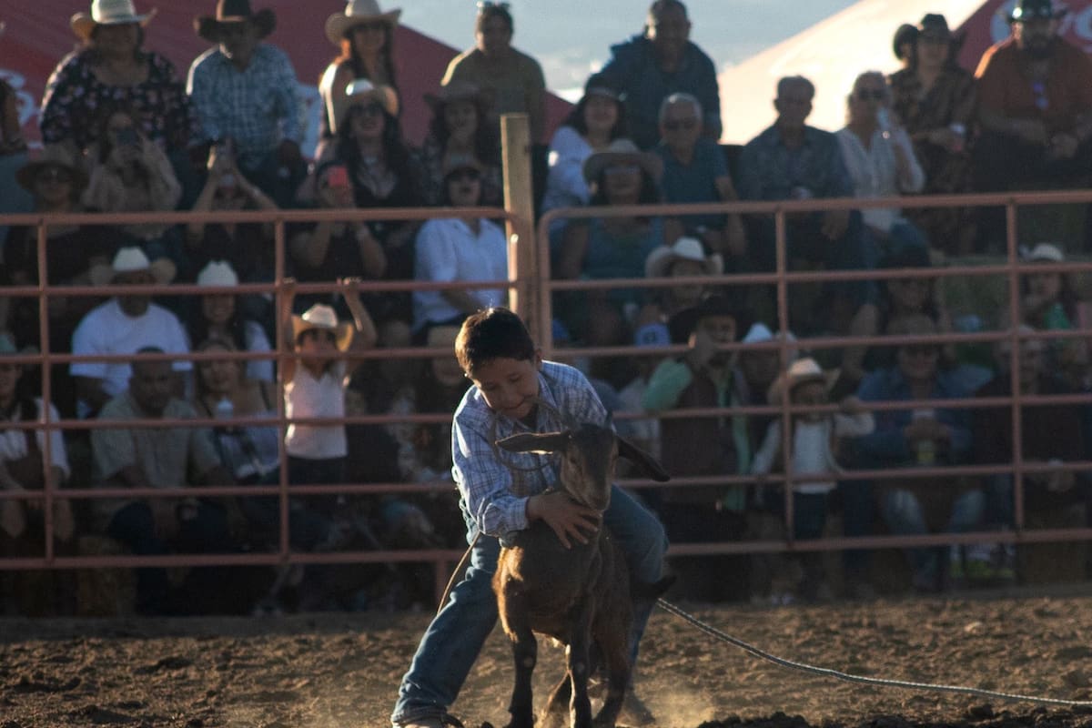 Exitosa primera edición de la Expo Agro en el Valle de Guadalupe