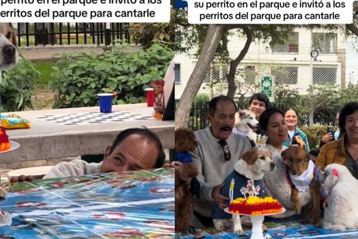 Señor celebra el cumpleaños de su perro en el parque e invita a los perros del parque