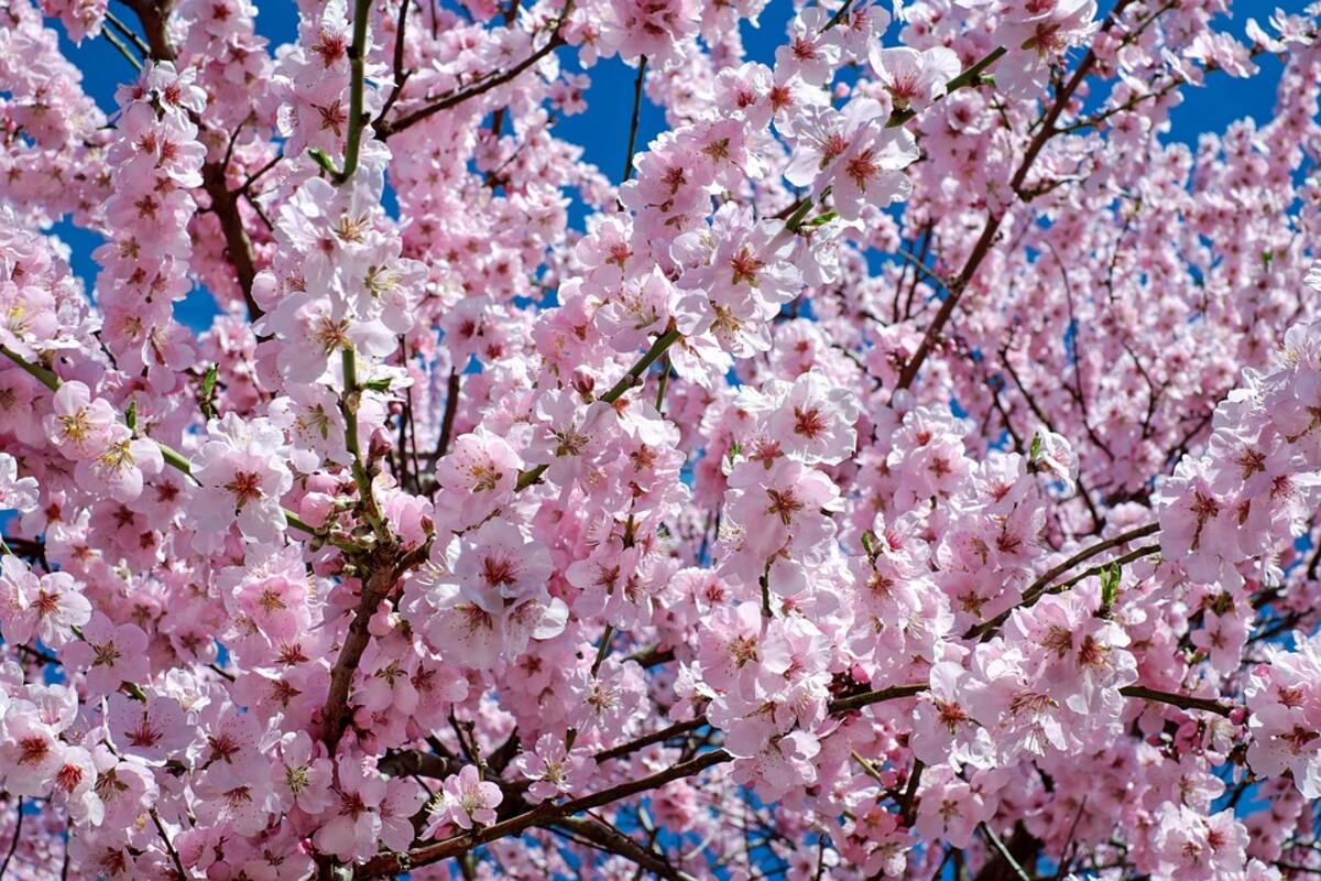 Confinamiento y primavera mejoran calidad del aire