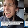 “Se llevó al perro del mecánico”: mujer recoge su auto sin notar que el perro iba dentro