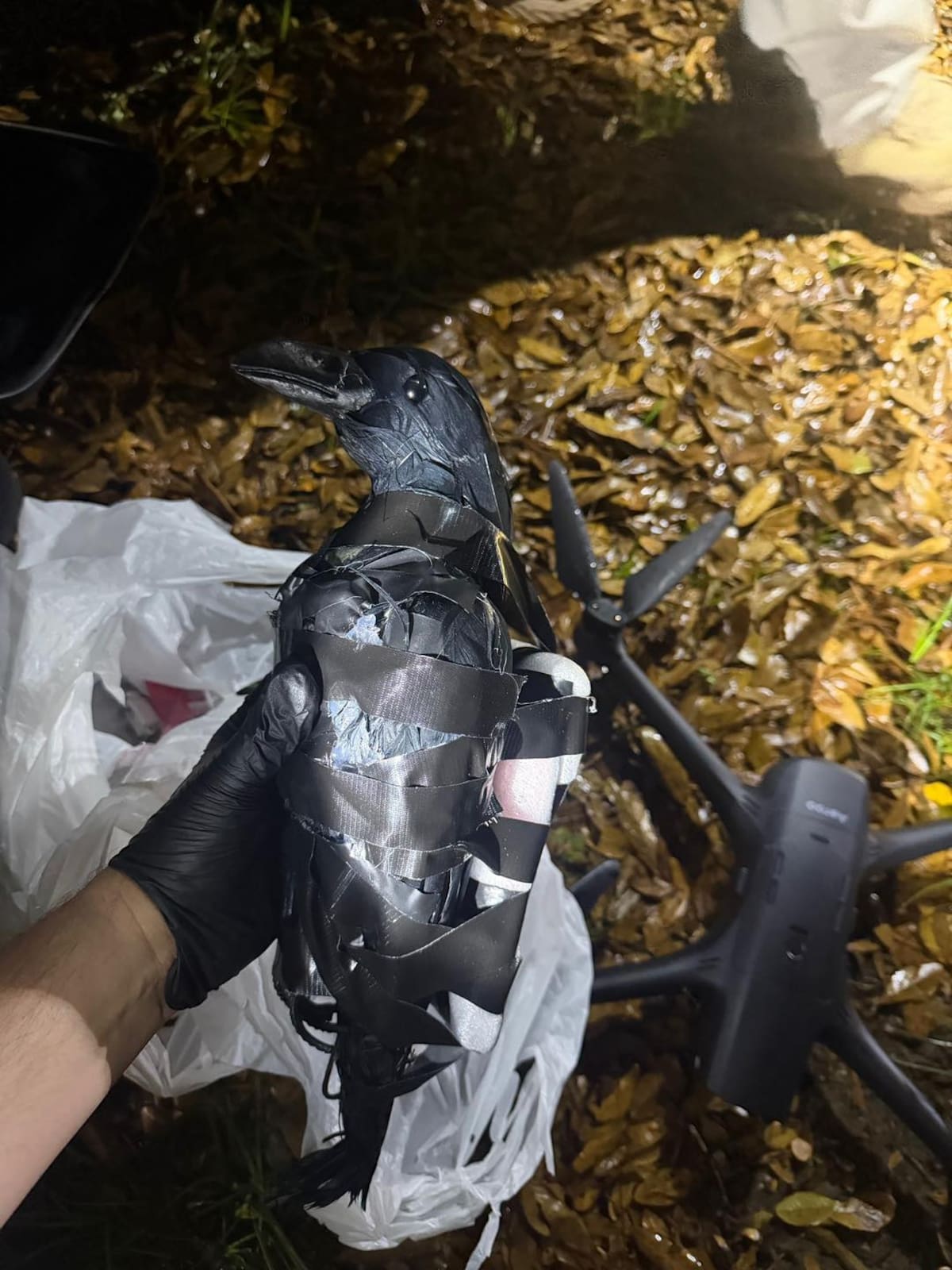 Foto: Grant Parish Sheriff's Office.